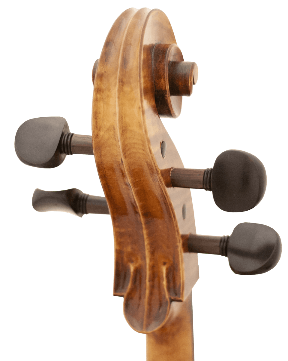 Giordano Cello Dixon Brothers Music